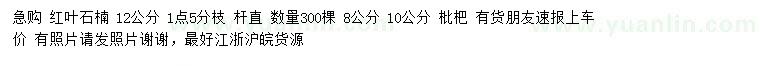 求購12公分紅葉石楠、8、10公分枇杷