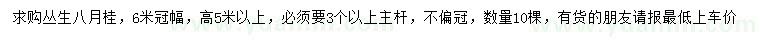 求購高5米以上叢生八月桂