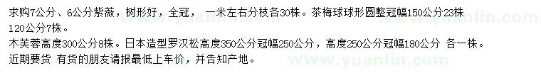 求購紫薇、茶梅球、木芙蓉等