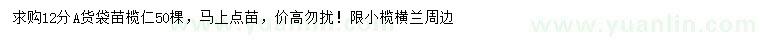 求購12公分欖仁