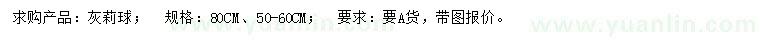 求購50-60、80公分灰莉球