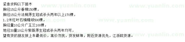 求購(gòu)垂柳、法桐、紅葉石楠精球等