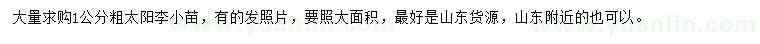 求購1公分粗太陽李小苗