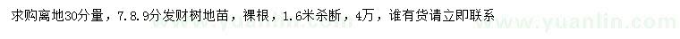 求購7、8、9公分發(fā)財樹