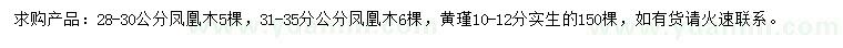 求購28-30、31-35公分鳳凰木、10-12公分黃瑾