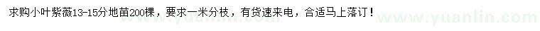 求購13-15公分小葉紫薇