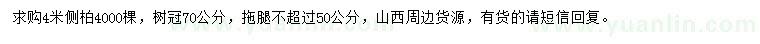 求購高4米側(cè)柏