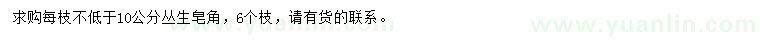 求購每枝不低于10公分叢生皂角