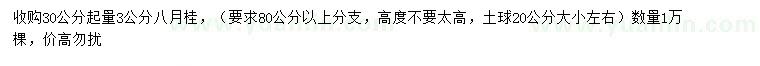 求購30公分量3公分八月桂