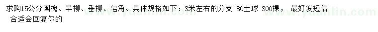 求購國槐、旱柳、垂柳等