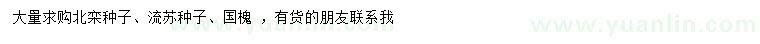 求購北欒種子、流蘇種子、國槐