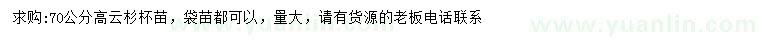 求購(gòu)70公分高云杉