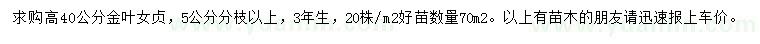 求購高40公分金葉女貞