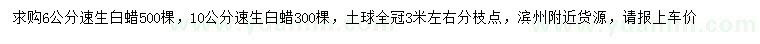求購6、10公分速生白蠟