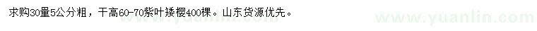 求購30量5公分紫葉矮櫻