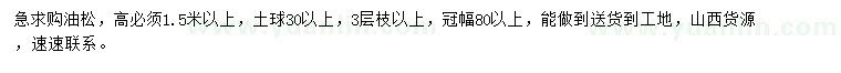 求購高1.5米以上油松