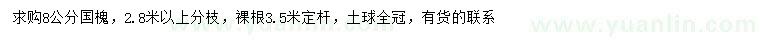 求購(gòu)8公分國(guó)槐