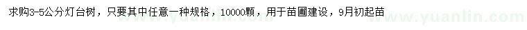 求購3-5公分燈臺樹