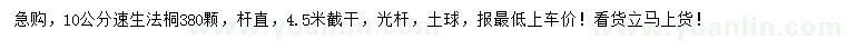 求購10公分速生法桐