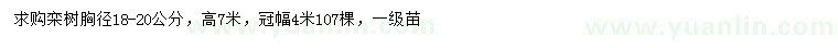 求購胸徑18-20公分欒樹