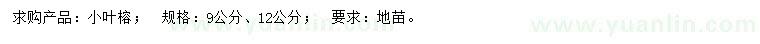 求購9、12公分小葉榕