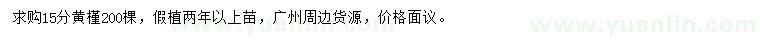 求購15公分黃槿