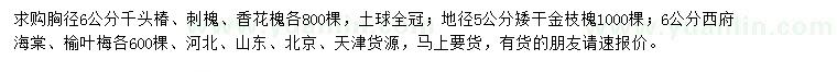 求購千頭椿、刺槐、香花槐等