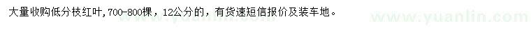 求購(gòu)12公分紅葉李