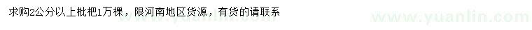 求購(gòu)2公分以上枇杷