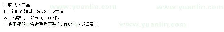 求購金葉連翹球、含笑球