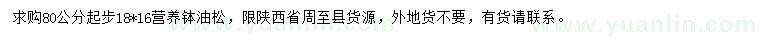 求購(gòu)80公分油松