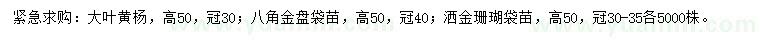 求購(gòu)大葉黃楊、八角金盤、灑金珊瑚