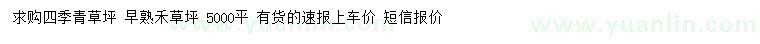 求購(gòu)四季青草坪、早熟禾草坪