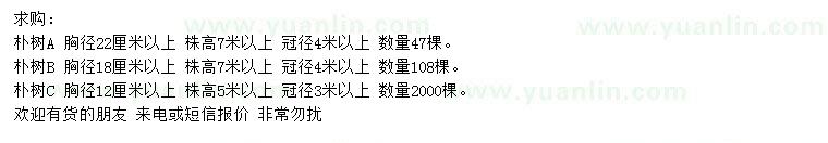 求購胸徑12、18、22公分以上樸樹