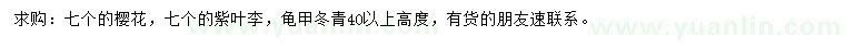 求購櫻花、紫葉李、龜甲冬青