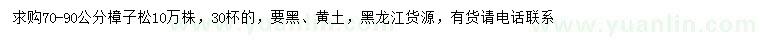 求購(gòu)70-90公分樟子松