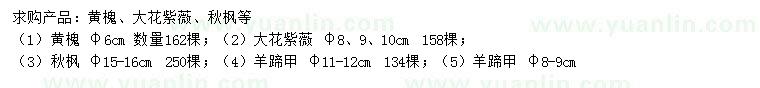 求購(gòu)黃槐、大花紫薇、秋楓等