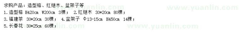 求購造型榕、紅繼木、福建茶等