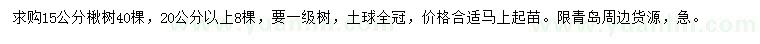 求購15、20公分以上楸樹