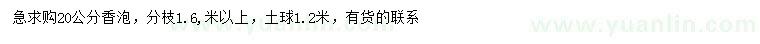 求購(gòu)20公分香泡