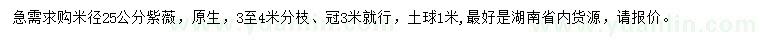 求購米徑25公分紫薇