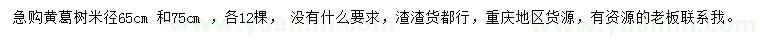 求購米徑65、75公分黃葛樹