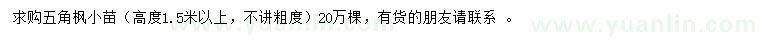 求購高1.5米以上五角楓小苗