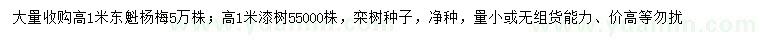 求購東魁楊梅、漆樹、欒樹種子