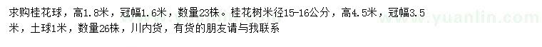求購高1.8米桂花球、米徑15-16公分桂花樹