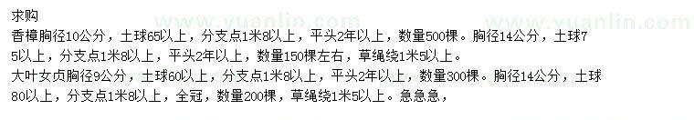 求購胸徑10、14公分香樟、9、14公分大葉女貞