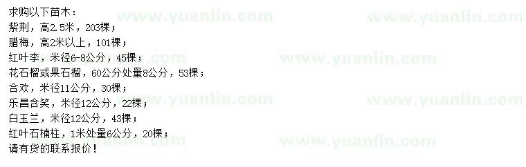 求購(gòu)紫荊、臘梅、紅葉李等