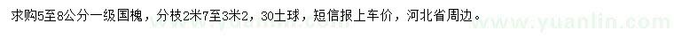 求購5-8公分國槐