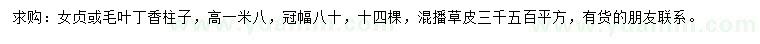 求購女貞、毛葉丁香柱、混播草皮