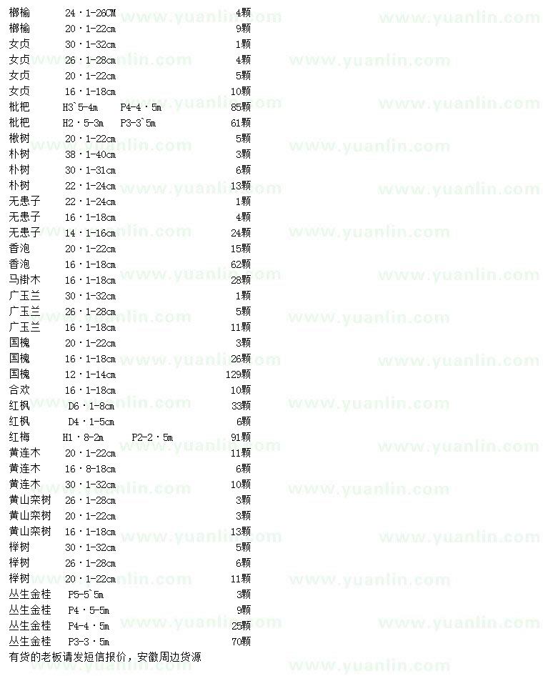 求購(gòu)榔榆、女貞、樸樹等